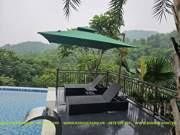 Ghế Bể Bơi Mây Nhựa TL305
